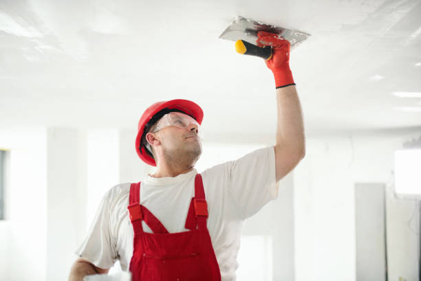 Best Emergency Mold Remediation  in Boise City, OK