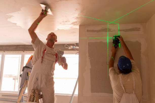Best Mold Damage Restoration  in Boise City, OK