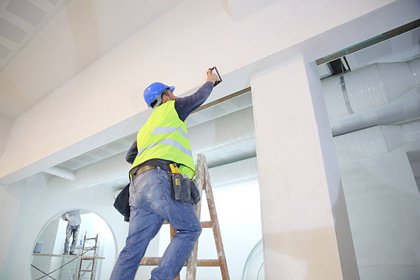 Best Real Estate Mold Inspection  in Boise City, OK