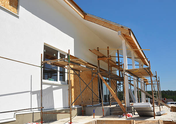 Professional Mold Removal in Boise City, OK