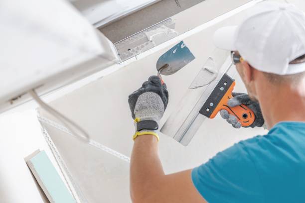 Best Dehumidification Services  in Boise City, OK